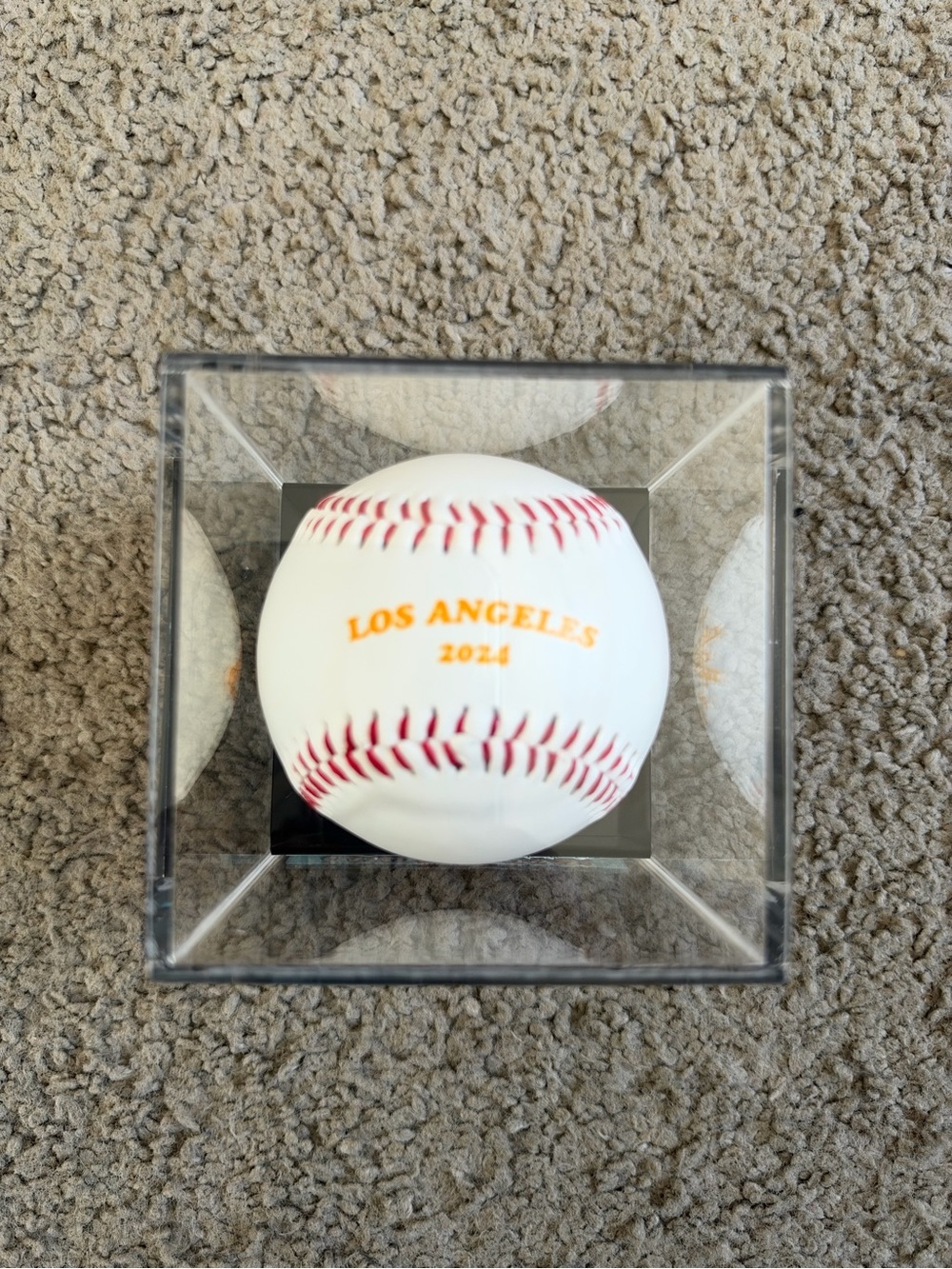 Camp Flog Gnaw Carnival 2024 Baseball